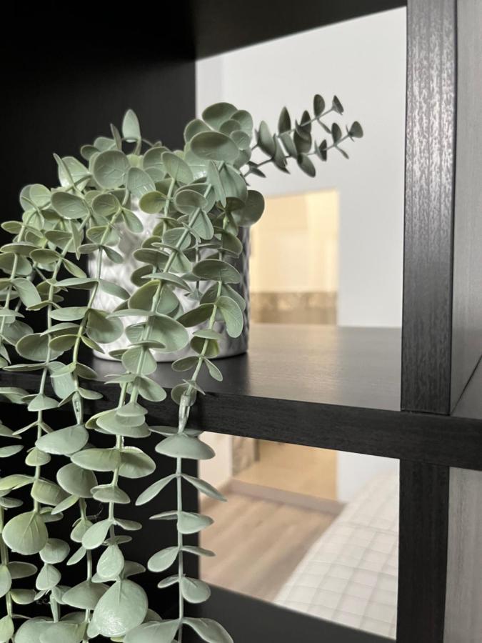 La Alcoba By Casa De Rosita At-Ba-00215 Διαμέρισμα Fuente del Maestre Εξωτερικό φωτογραφία